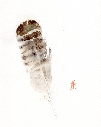 Oryginalna akwarela. Pióro, alquadro