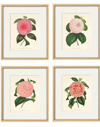 Zestaw Grafik Botanicznych Vintage, Victorian wall art