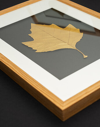 Złoty Liść Platan Klonolistny w Dębowej Ramie 20x30cm. Naturalny Obraz, Kuźnia Obrazów