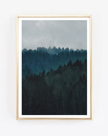 Forest, plakat, grafika, fotografia, wejustlikeprints