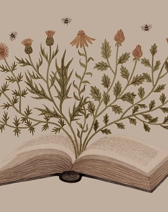 Imaginary Wanderings, Lucernarium