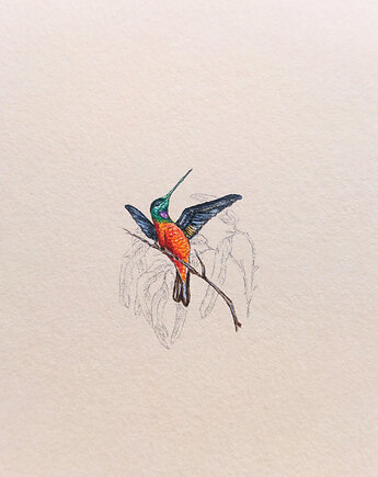 Koliber, ręcznie malowana miniatura akwarela, atelier Brocante
