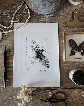 Motyl print 30x40 cm, Margo Hupert