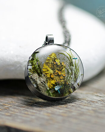 Forest Drops vol.III, Radecka art