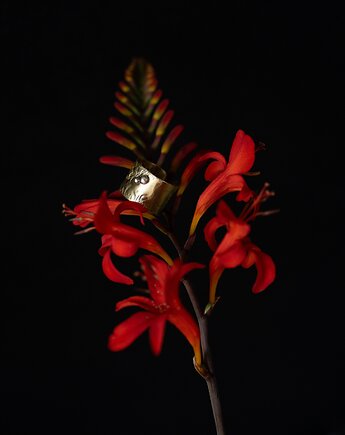 Pierścionek TERRA No. 1, Kamaryd