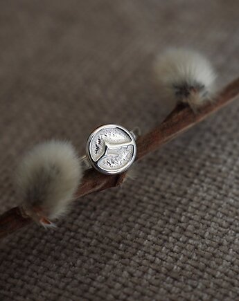 Srebrny pierścionek z górskim szczytem, Szkatułka Emi