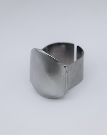 BABE sygnet S silver, POLA ZAG