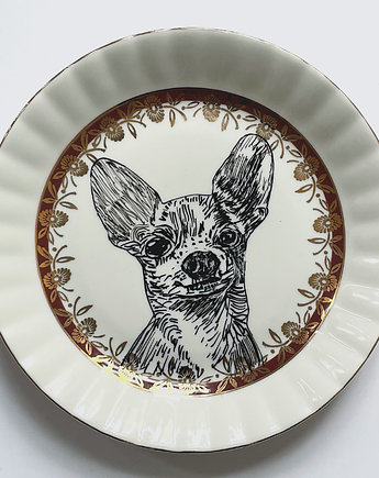 Chihuahua, arent plates