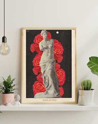 Plakat Venus, zlepki sklejki