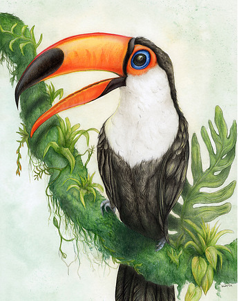 Tukan - plakat, MowiedoCiebie