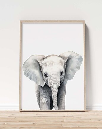Słoń plakat do pokoju dziecka, OKAZJE - Prezenty na 18 dla syna