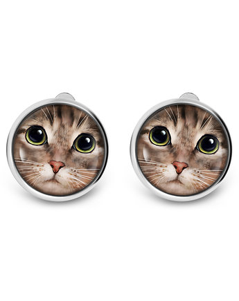 Klipsy - Kot tygrysek, yenoo