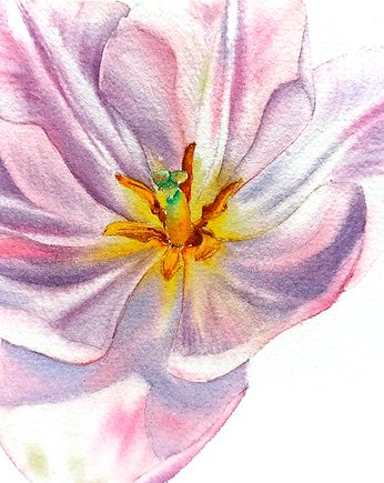 "Delikatne płatki tulipanów #2" 15*20 cm/ akwarela, ShkrebetsARTgallery