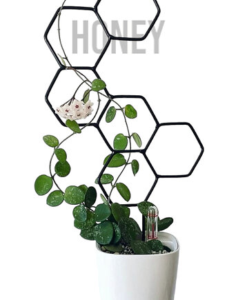Drabinka do kwiatów domowych Grow High Honey, Leaflo
