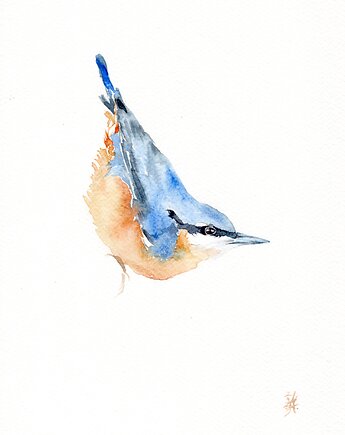 Oryginalna akwarela. Kowalik, alquadro