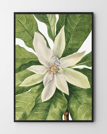 Plakat Plantlove , HOG STUDIO