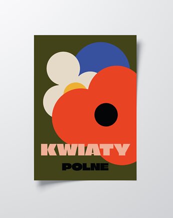Plakat kwiaty polne, DODUMU