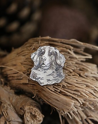 Pies berneńczyk broszka - przypinka ze srebra, Cztery Humory