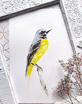 Akwarela pliszka żółta, Wiktoria Borys Art