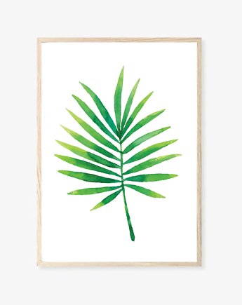 PLAKAT botaniczny Liść palmy Palma, black dot studio