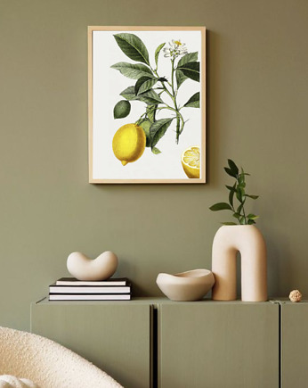PLAKAT  ILUSTRACJA botaniczna  vintage cytryny, black dot studio