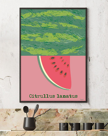 Arbuz - plakat fine art, giclee, minimalmill