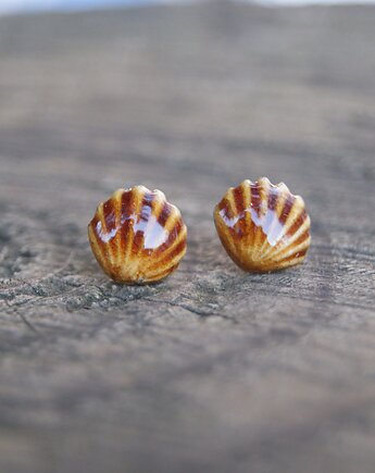 Kolczyki Muszelki "Bursztynowy Brzeg" - ceramiczne sztyfty, Gliniana Koniczynka