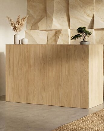 Lada recepcyjna do salonu beauty LUSH, Papierówka Simple form of furniture