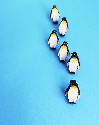 Pingwiny malowane, DWUKROOPEK