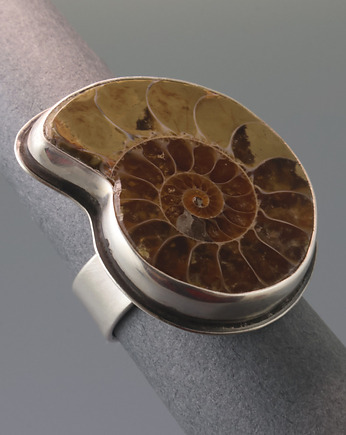 Pierścień z amonitem