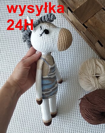 Koń Ewelina, konik, szydlAnki