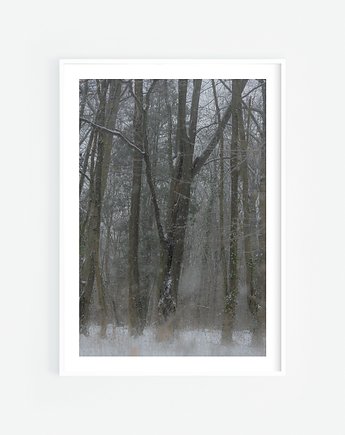 Śnieg w lesie plakat, Katarzyna Kątna