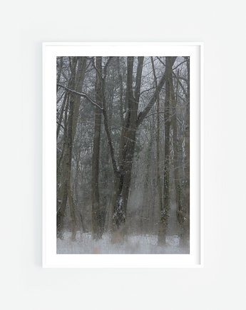 Śnieg w lesie, Katarzyna Kątna