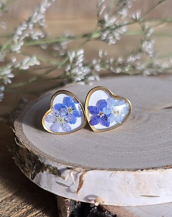 Wieczne kwiaty niezapominajki złote serca serduszka wkręty kolczyki, zkwiatem