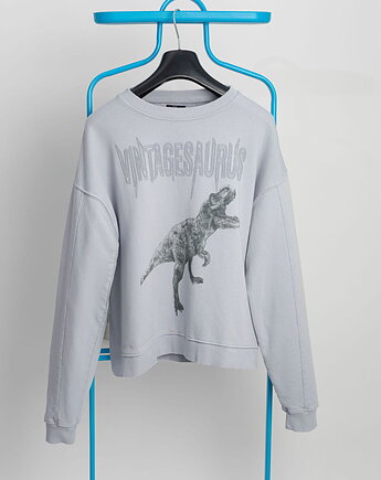 Bluza Vintagesaurus Grey Sky, Dear Ursula