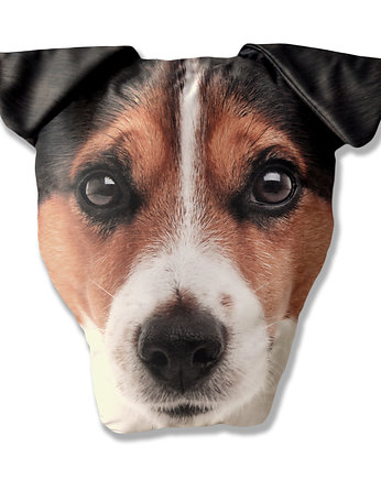 Poduszkopies JACK, Seepoint