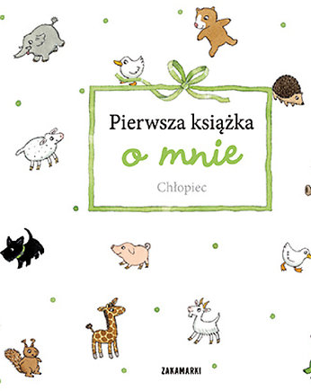 Pierwsza książka o mnie. Chłopiec, ZAKAMARKI