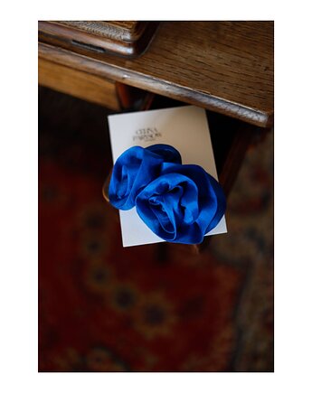 Jedwabna spinka, Celina Parysów