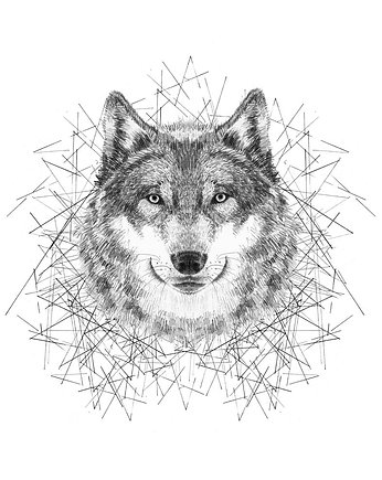 wolf song, Tiri riri