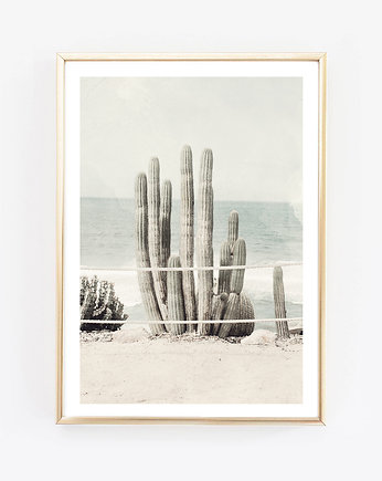 cactus vintage fotografia plakat, wejustlikeprints