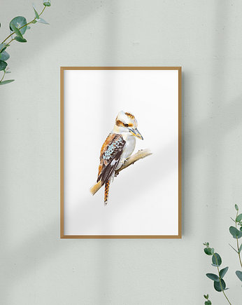 Ilustracja ptaka - kukabura chichotliwa, Aleksandra Stanglewicz