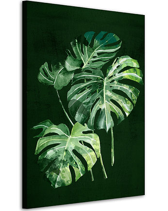 Obraz na płótnie ROŚLINKA MONSTERA 70x100cm, LUdesign gallery
