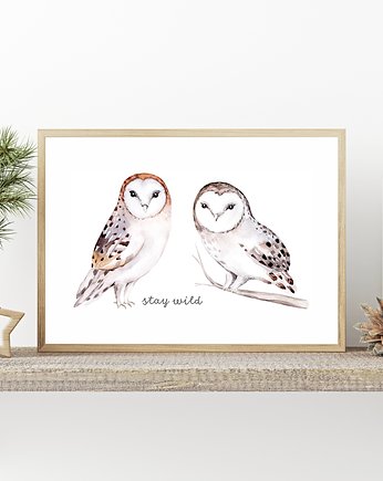 Plakat. Leśne przygody, sowy, Love Life and Forest