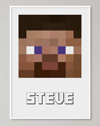Minecraft plakat "Steve", Pas De LArt