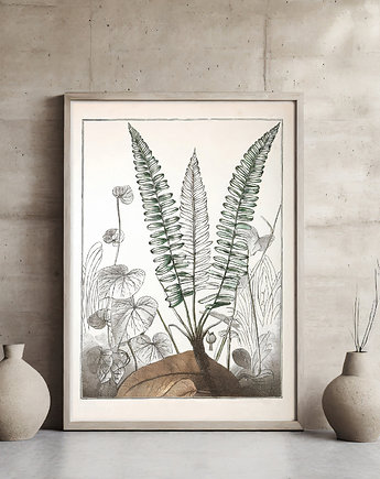 Plakat botaniczny, ArchiBotanica
