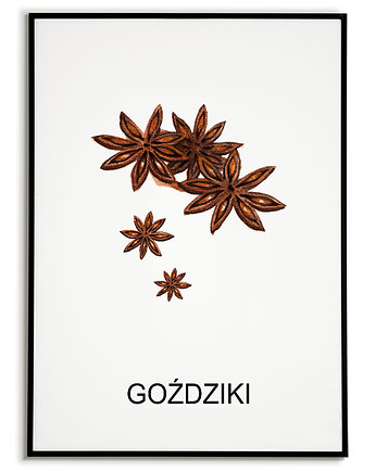 Plakat  GRAFIKA GOŹDZIKI warzywa ZIOŁA, Bajkowe Obrazki