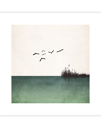 Birds I Plakat, KNOR