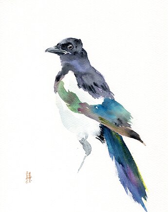 Oryginalna akwarela. Sroka, alquadro