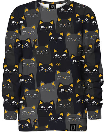 Bluza bez kaptura Dziewczynka DR.CROW Cats Orange, DrCrow