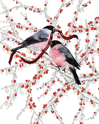 Birds Love - Grafika- Walentynki- Ilustracja- Polskie Ptaki, OSOBY - Prezent dla dziewczynki